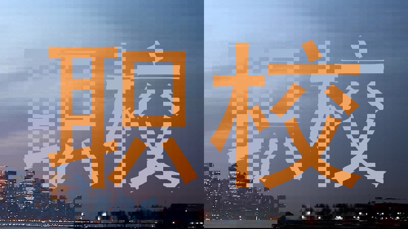 职校
