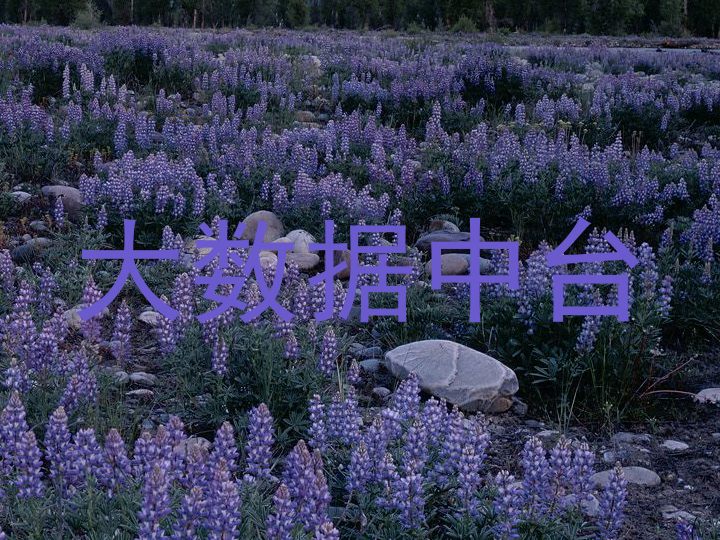 大数据中台