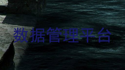 数据管理平台