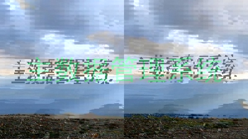 主数据管理系统