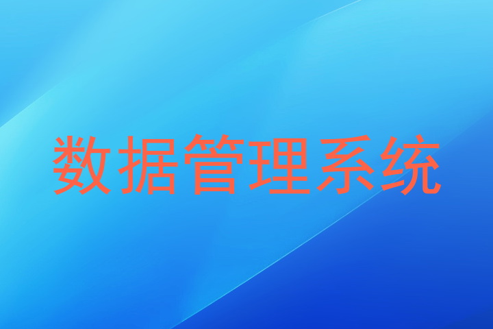 数据管理系统