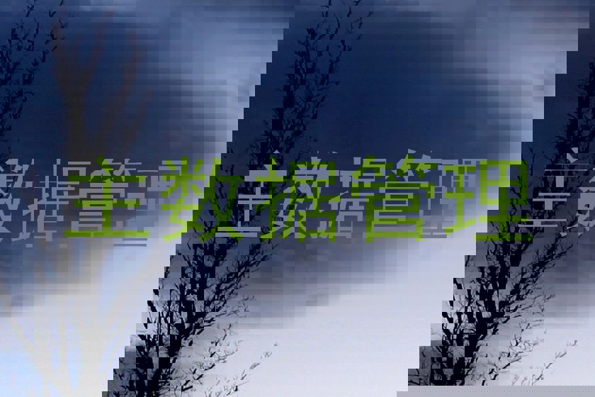 主数据管理