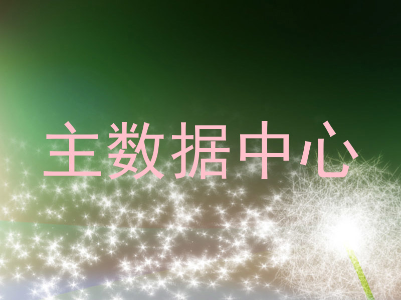 主数据中心