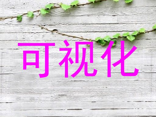 可视化