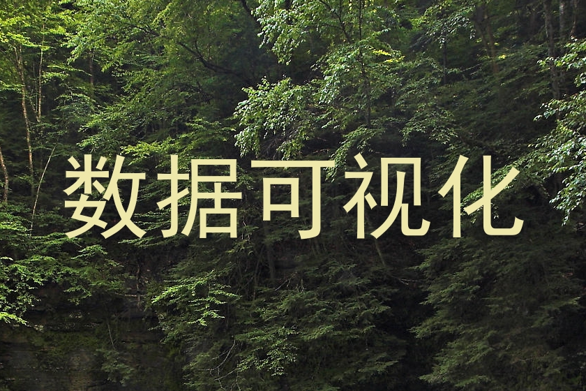 数据可视化