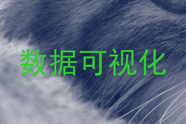 数据可视化