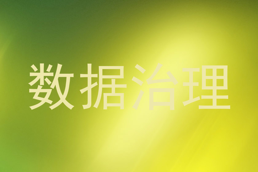 数据治理