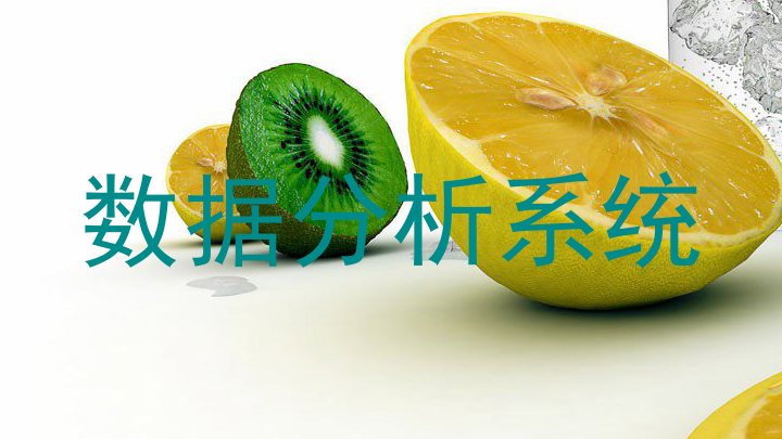 数据分析系统