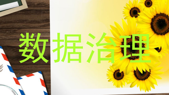 数据治理