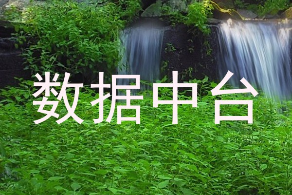 数据中台