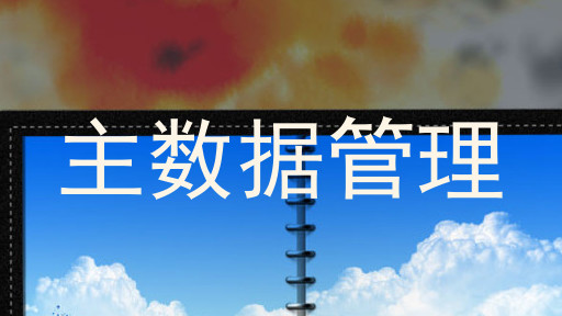主数据管理