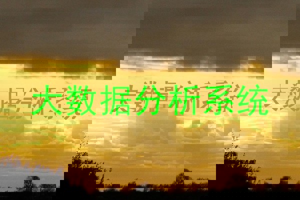 大数据分析系统