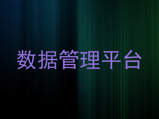 数据管理平台