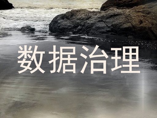 数据治理