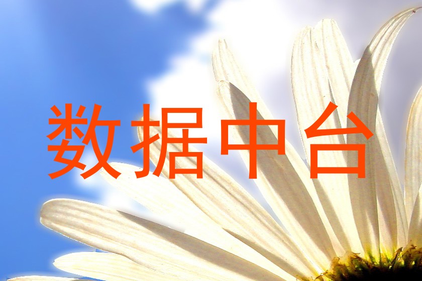 数据中台