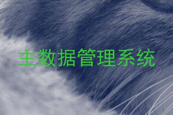 主数据管理系统