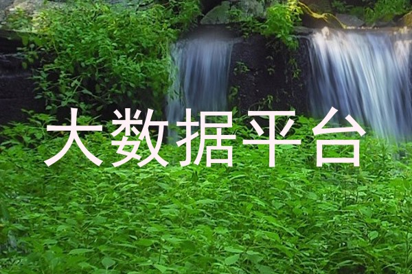 大数据平台