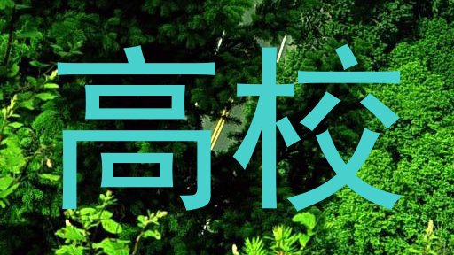 高校