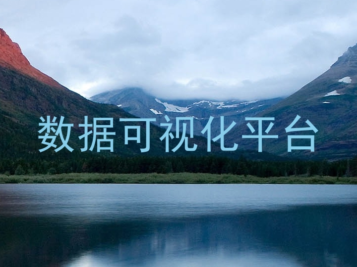 数据可视化平台