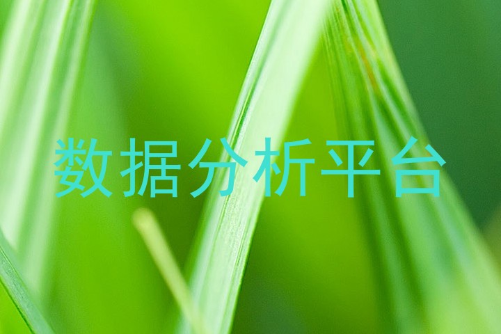 数据分析平台