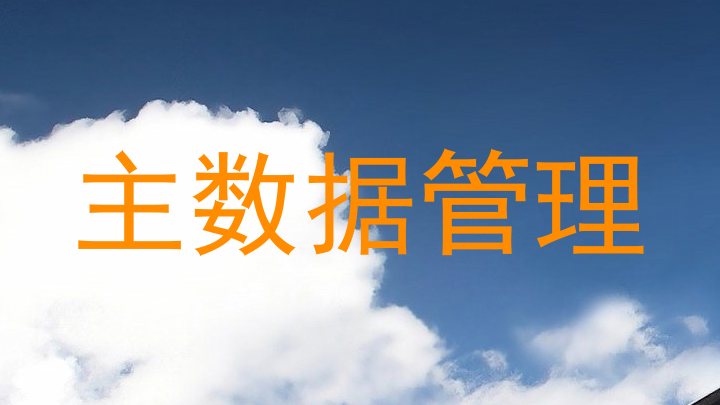 主数据管理