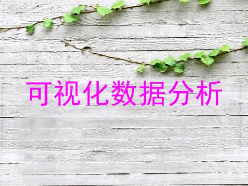 可视化数据分析