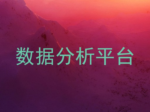 数据分析平台