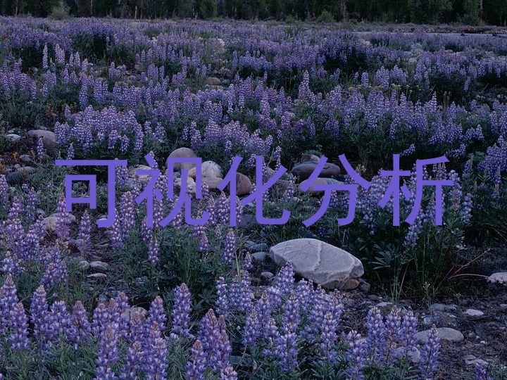 可视化分析