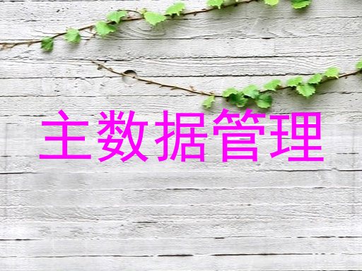 主数据管理