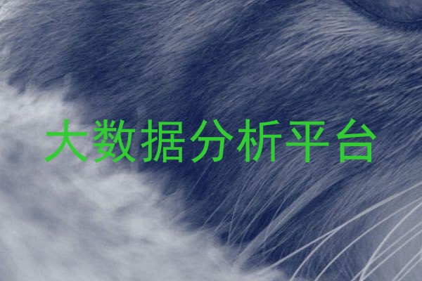 大数据分析平台