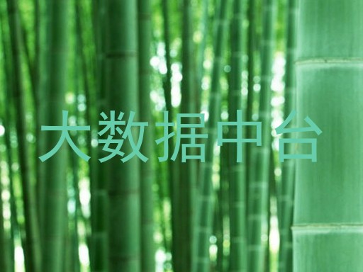 大数据中台