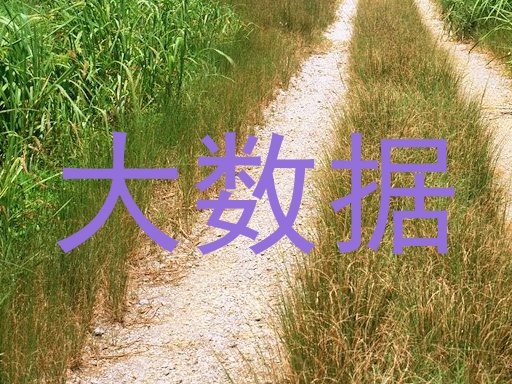 大数据