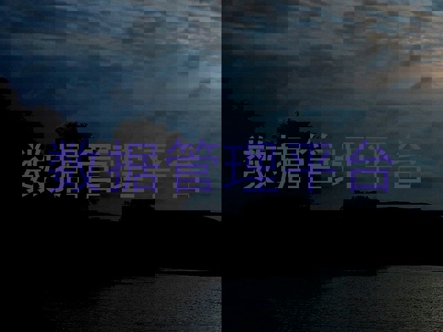 数据管理平台