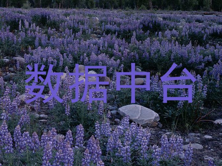 数据中台