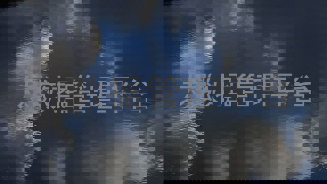 大数据管理平台