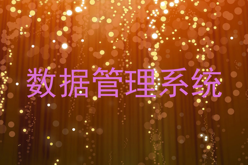 数据管理系统