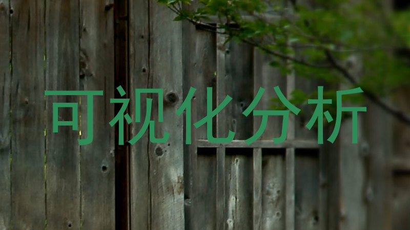 可视化分析