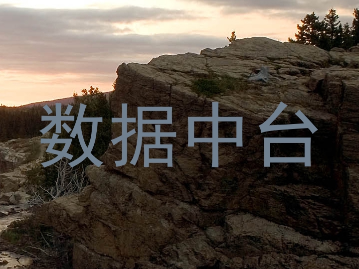 数据中台