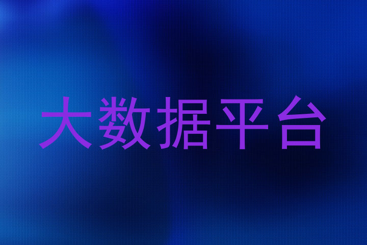 大数据平台