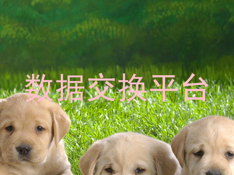 数据交换平台