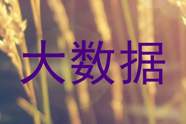 大数据