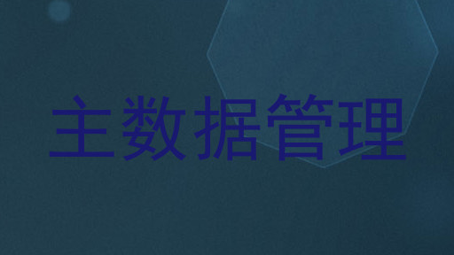 主数据管理