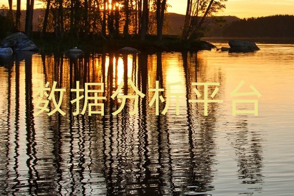 数据分析平台
