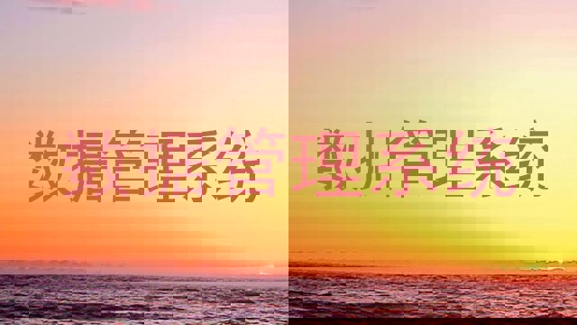 数据管理系统