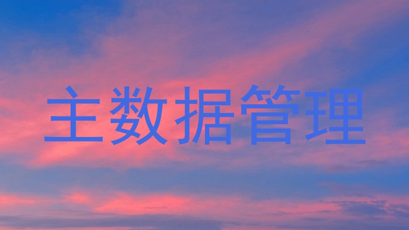 主数据管理