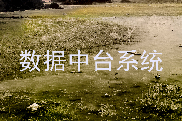 数据中台系统