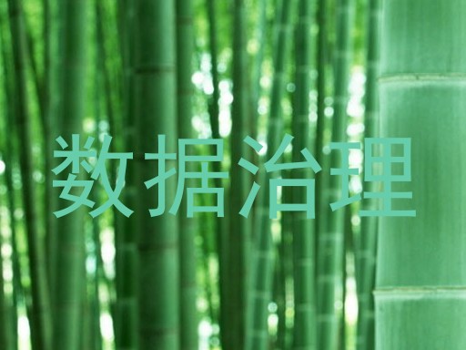数据治理