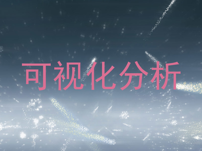 可视化分析