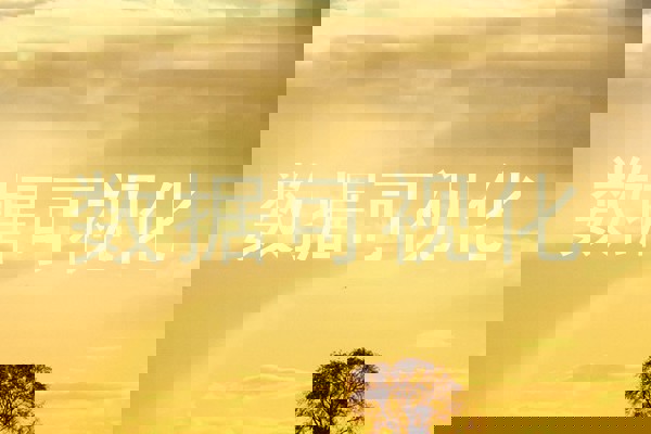 数据可视化