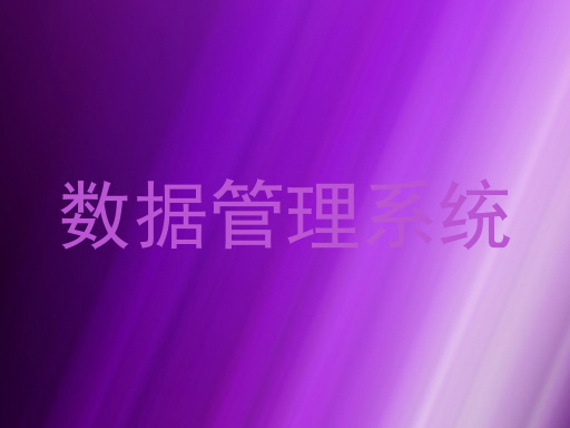 数据管理系统